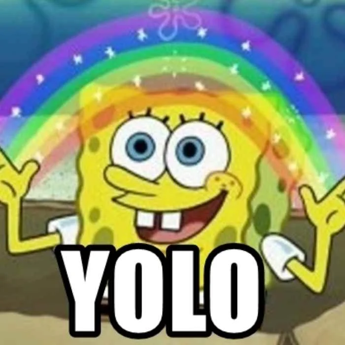 YOLO