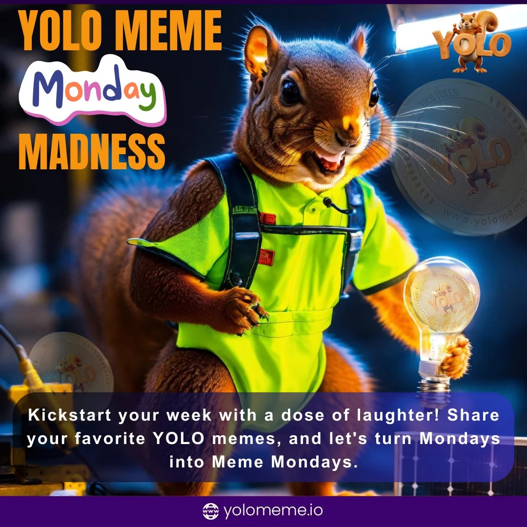 Promotional YOLO contest image with squirrel.