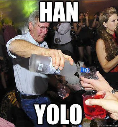Cat parody YOLO recklessness meme.