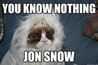 Grumpy Cat Jon Snow parody meme.