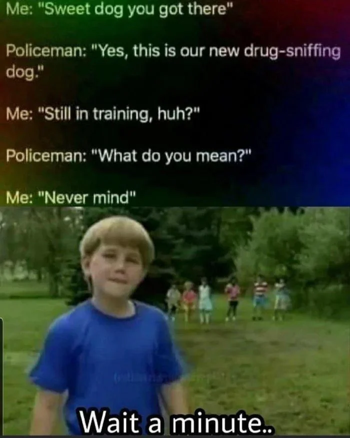 Dialogue meme using the Kazoo Kid 'Wait a minute' reaction as a punchline about a drug-sniffing dog.
