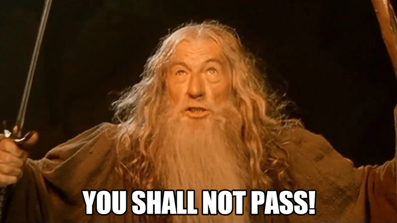 The iconic You Shall Not Pass moment.