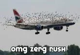Bird swarm real-world application.