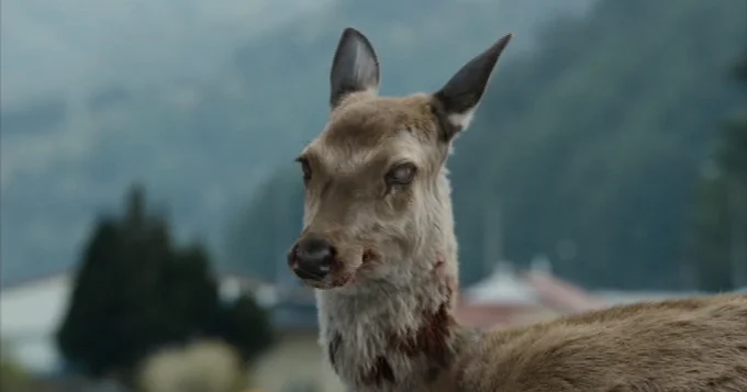 Iconic zombie deer imagery.