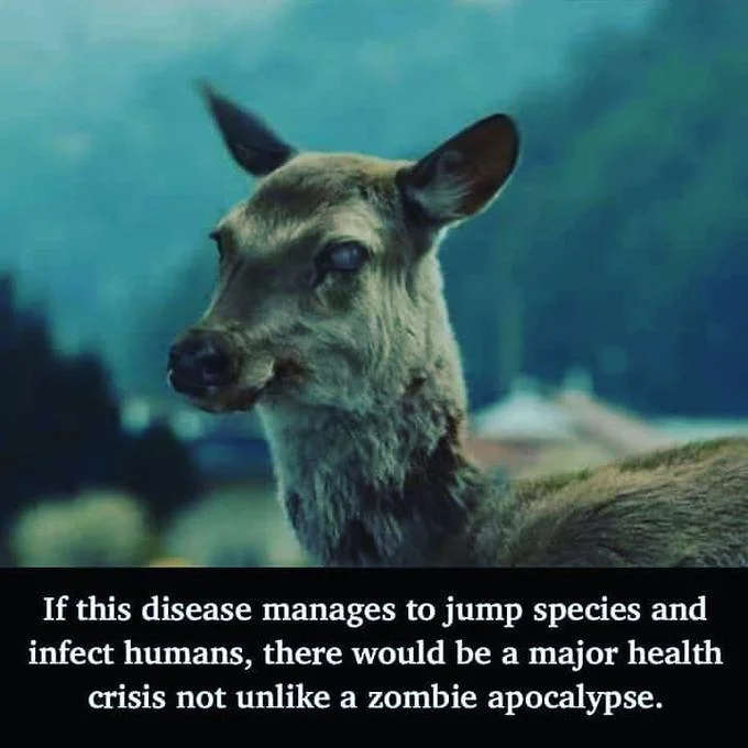 Health crisis apocalypse quote image.